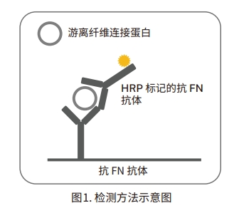 檢測(cè)方法示意圖