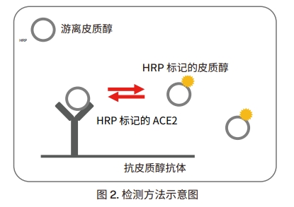 檢測(cè)方法示意圖