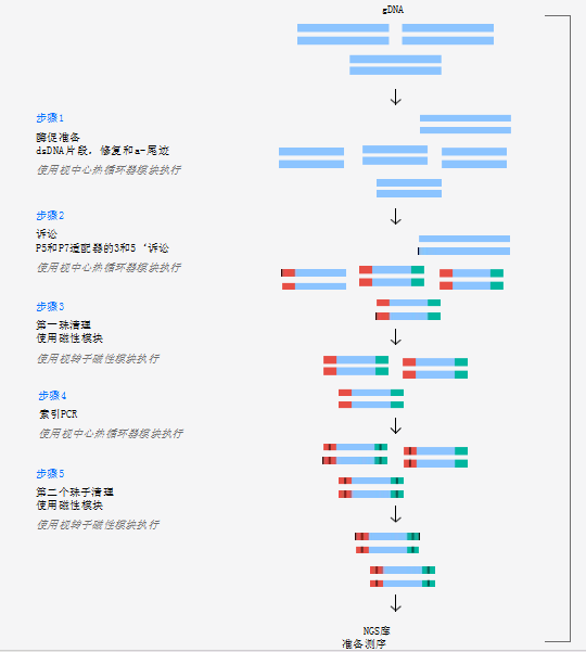序列準(zhǔn)備全自動(dòng)微生物和人類DNA模板的文庫制備