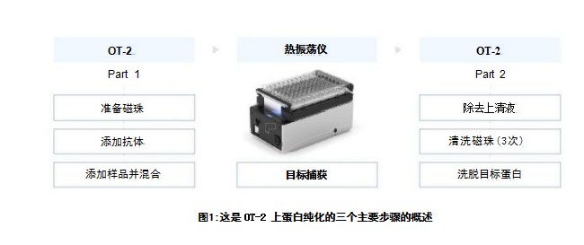 蛋白純化的三個(gè)主要步驟的概述